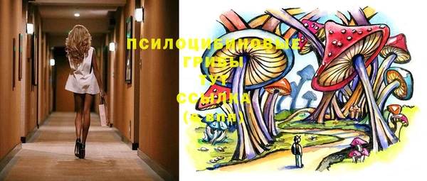 дурь Абаза