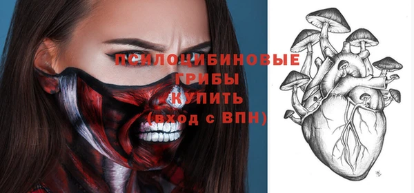 прущие крисы Абинск