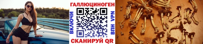 Псилоцибиновые грибы мухоморы  Кызыл 